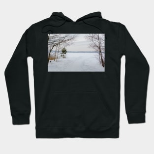 Tranquil landscape with the lake Hoodie